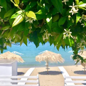 Byblos Aria-The Sea Side Luxury Villa - Image 4