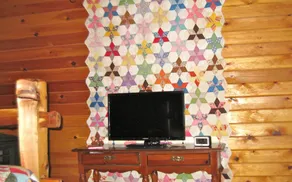 Cozy Secluded hillside view Cabin with wi-fi - Image 3