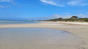 Playa aislada, arbusto nativo - Clearwater Haven - Image 5