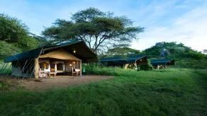 Serengeti Woodlands Camp - Image 5