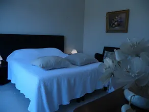 Luxury villa in Vallon Pont d'Arc with private swimming pool - Image 5