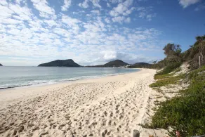 Beachfront Nelson Bay Apartment - Image 4