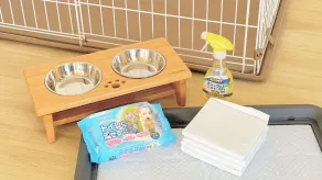 Doggywood Awaji Island - Image 3