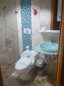 Beautiful Single 1B / 1B Apartment with Balcony 203-A - Image 2