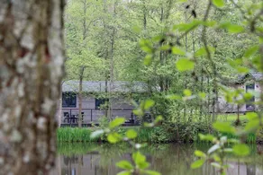 Warren Wood Country Park - Image 1