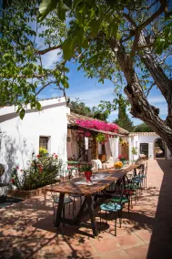 Rancho Los Lobos- Boutique Hotel - Image 5