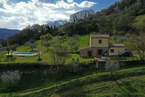 Villa con piscina e giardino ad uso esclusivo - Image 4