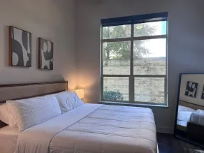 Rose at the Millennium - Stylish 1 BR in Houston - Image 5