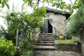 \"Il coccodrillo\" discover the real italian countryside - Image 4