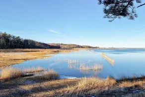5 Personen Ferienhaus in Jægerspris-By Traum - Image 3
