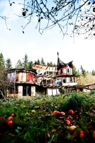 Fairy Cabin i skoven - Image 5