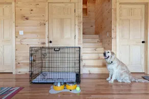 Modern Mountain Chalet! Hike, Ski, Swim, and Treasure Hunt! - Image 4