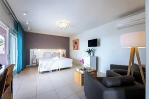 Garden View Deluxe Suite - Image 4