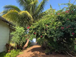 Private cottage in Miami - Image 3