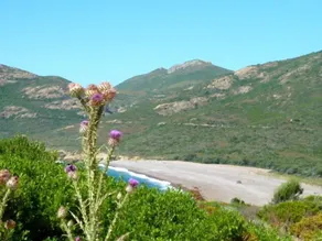 Apartment in a quiet neighbourhood with view of the sea and mountain - Image 5