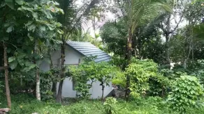 Honeymoon villa-Green,eco friendly, Natural,tribal life, village resort - Image 3