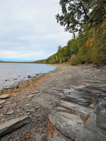Lakefront cottage with private beach. Canoe, Firepit, Pet Friendly. Family owned - Image 4