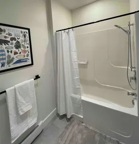 NEW 3 Bed 2 Bath Home with Private Sauna - Image 5