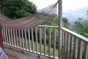 Beautiful Jungle Home In Platanillos Costa Rica - Image 4