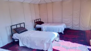 starlitdesertcamp - Image 2