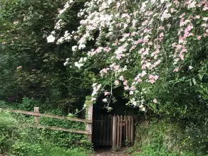 Romantic hideaway on Dartmoor national park - Image 4