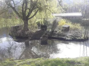 Le Paradis d'ARAN - Image 5