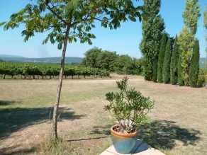 Havre de paix pour deux personnes entouré de vignes avec vue panoramique. - Image 4