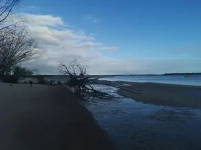 La cabane de Jack - Burrum Heads - Détendez-vous, pêchez et nagez - Image 4