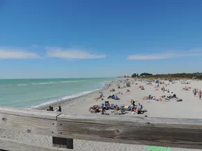 Venice Palm Villa - Nur wenige Minuten vom Privatstrand entfernt - Abgeschirmter, eingezäunter Hof! - Image 5