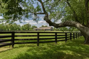 Orchard Park hytte - Image 2