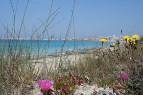 SILVIA DOMUS ROSE - VACACIONES RELAJADAS, 4 PL, A 5 MINUTOS DE LAS PLAYAS DE MOVIDA GALLIPOLI - Image 3