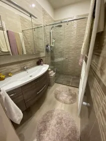 Flexible apartment in Slovenian Styria - Image 3