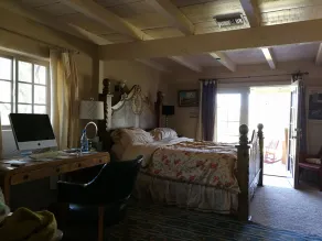 Charmigt hem nära U of A i magisk trädgård, 4 sovrum, 4BA, badtunna och stor pool - Image 4