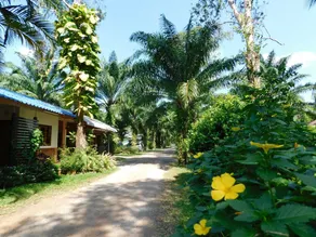 057 resort - Image 2