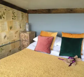 Beautiful quirky log cabin situated at the foot of Llandegla Forest - Image 2