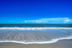 Brand New Listing! 5 minutes to Naples Best Beach...Lowdermilk Park. - Image 4