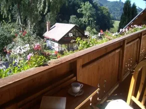 Langmichelhof - Appartamento di 32 mq, 1 soggiorno / camera da letto - Image 3
