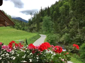Vacation apartment in quiet centr. Location in the Berchtesgadener Land with unobstructed mountain views - Image 5