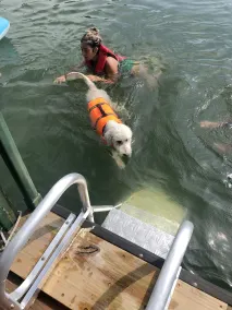Cozy Pet Friendly Cottage, 2 story Deep Water Dock - bring your boat! - Image 3