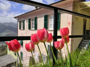 A corner of paradise surrounded by nature in the Ligurian hinterland - Image 5