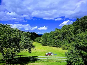 Farmhouse On 14 Acres.  Close to Monticello & Ash Lawn Highland - Image 4