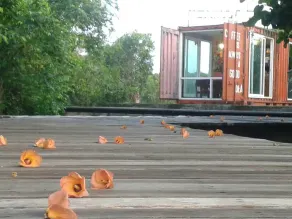 Lake House - Image 4