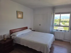 Utmärkt lägenhet i Aragonese Pyrenéerna - Image 4