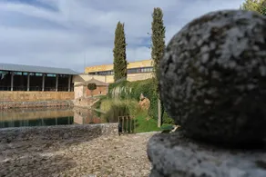 Los Claustros de Ayllón - Image 5