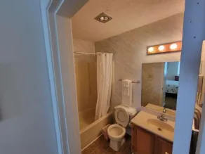 Oceanfront Condo - OBX - Early Bird Catches the Worm - Image 2