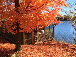 Cosy cabin steps from the lake - Image 5