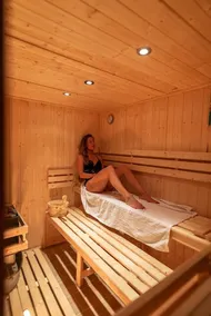 New chalet, with sauna, garden, 5mns from the slopes, absolute calm. - Image 2