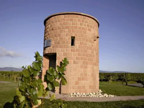 Gästehaus Weinparadies - Image 4