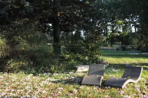 EMPLACEMENT BUCOLIQUE DE CAMPING dans le parc du château - Attention tente, matériels et électricité non fournis - Image 5