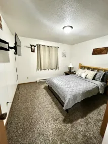 Luxury 2 BR Apt w/ King Bed - Image 4